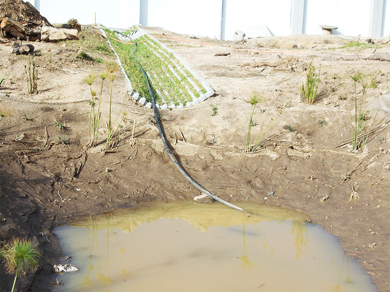 PIC: GRASSBLOCKS HB 3