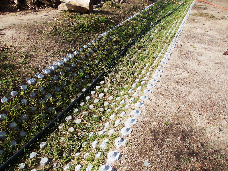 PIC: GRASSBLOCKS HB 4