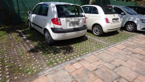 Grass Block parking1
